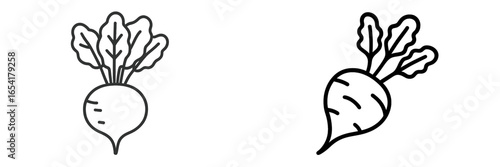 Illustration of two different types of radishes with distinct leaf shapes displayed together