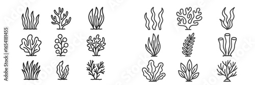 Various hand-drawn plant illustrations representing aquatic and terrestrial flora arranged in a creative pattern