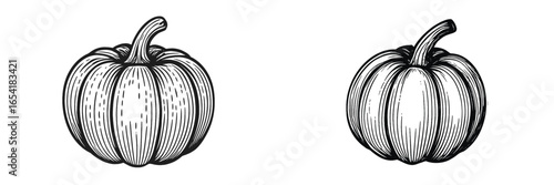 Hand-drawn vector illustration of pumpkins in black and white