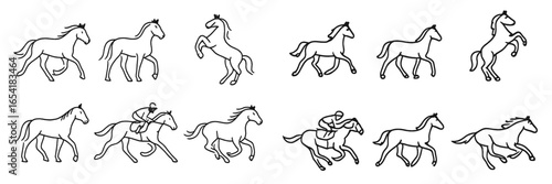 Vector illustration of horses in various poses and activities