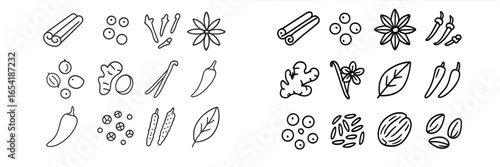 Vibrant vector illustrations of culinary spices and herbs