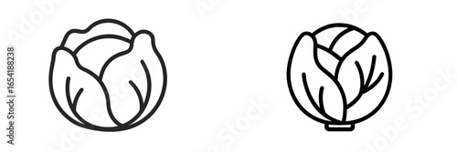 Stylized vector cabbage illustrations for design and marketing