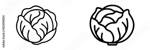 Detailed vector illustration of a cabbage isolated on white background