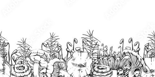 Bolete Russula mushroom, horsetail plant stalks moss cushion hand drawn in vector ink. Cep webcap suillus fungi, autumn forest harvest, edible raw ingredient for vegan cooking. Seamless banner header