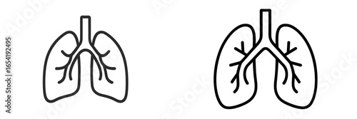 Vector illustration of isolated human lungs in two styles