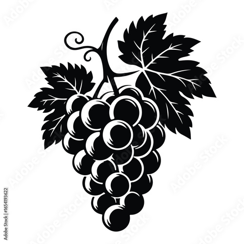 Black Silhouette of a Grapevine with Grapes