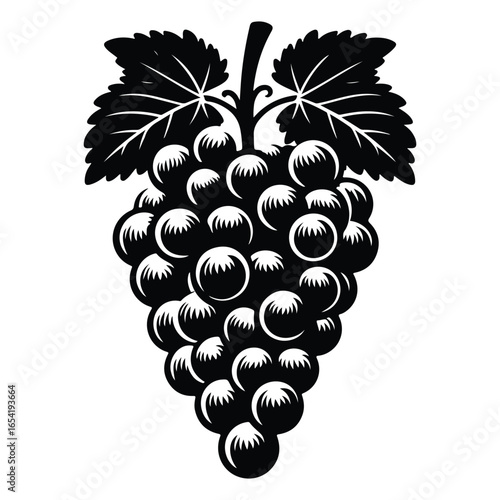 Black Silhouette of a Grapevine with Grapes