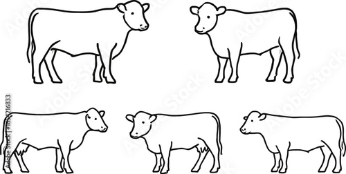 Black Angus Line Drawing