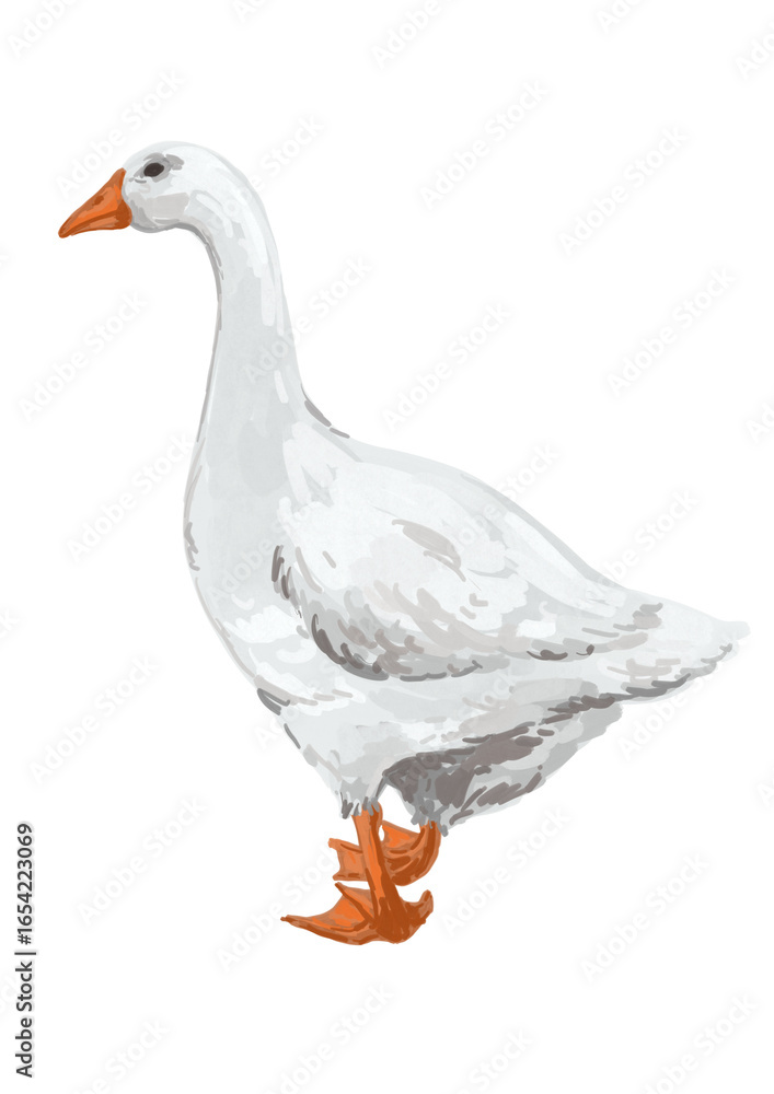 Obraz premium Hand drawn goose bird