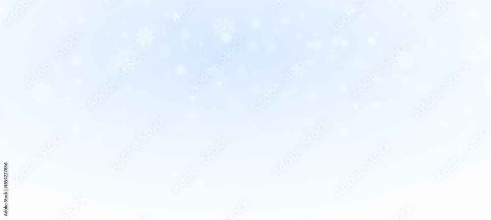 Fototapeta premium 11