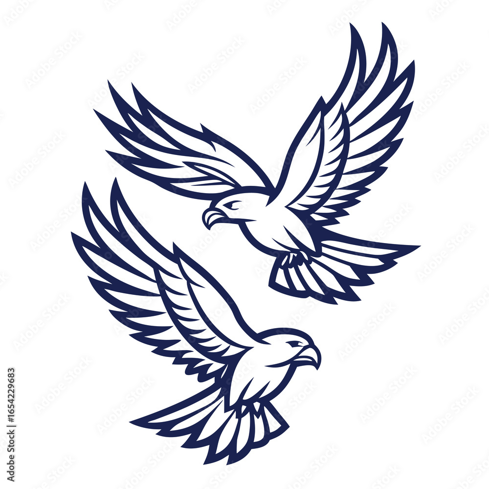 Obraz premium Two soaring eagles in flight falcon bird