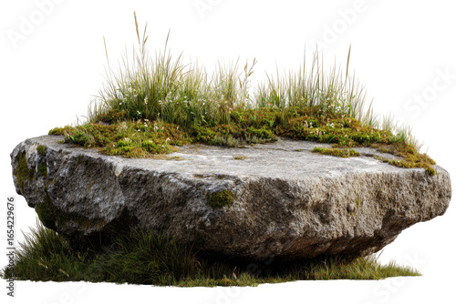 Flat, grey granite boulder with a carpet of green moss and grasses