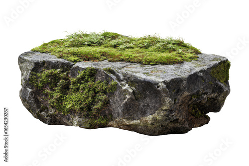 Large, flat rock covered in moss