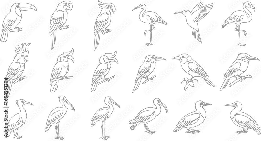 Fototapeta premium A diverse collection of bird illustrations featuring various species such as toucans, parrots, herons, and pelicans