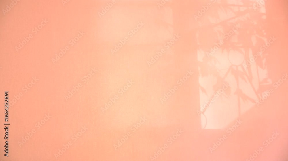 Window and soft sunrise sunlight, shadows on background with casting floral shadows. Light pink. Minimal vintage interior decoration concept. Autumn wabi sabi style aesthetics