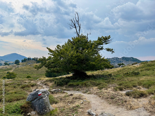 Le plateau de Coscione sur le GR20 Sud en Corse