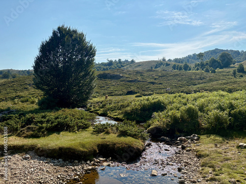 Le plateau de Coscione sur le GR20 Sud en Corse