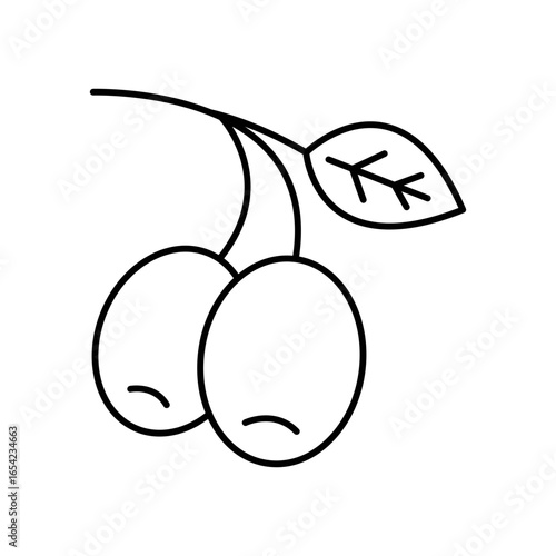 Olives Fruit Line Icon: Healthy Food and Ingredient