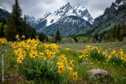 Vibrant wildflowers close-up with blurred mountain range in the background