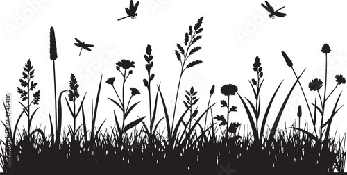 Wildflowers and dragonflies in silhouette meadow grass, meadow, grass, wildflowers, cattails, reeds, grasses, dragonflies, insects, flying, nature, silhouette, black and white, outdoor, summer, field,