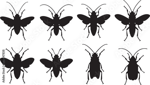 Black insect silhouettes with wings and antennae white, insect, silhouette, black, white, wings, antennae, legs, arthropod, creature, bug, vector, illustration, design, graphic, nature, entomology
