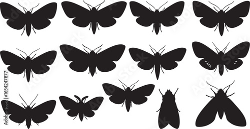 Black moth silhouettes collection insect white, moth, insect, silhouette, black, white, wings, antennae, body, legs, flying, nature, wildlife, macro, close up, detailed, pattern, design, graphic, illu