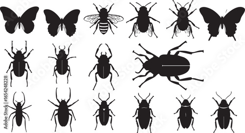 Butterflies bees beetles insects butterfly silhouette, butterfly, bee, beetle, insect, silhouette, black, white, wings, antennae, legs, nature, entomology, illustration, graphic