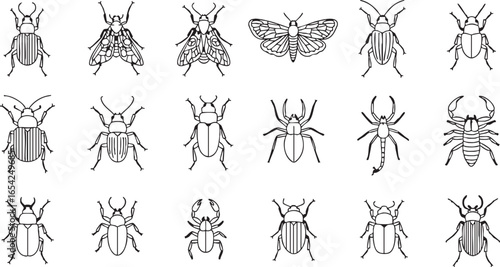 Insects and arachnids detailed line art collection, beetle, moth, fly, spider, scorpion, insect, arachnid, entomology, illustration, black and white, line drawing, detailed, collection, nature, wildli