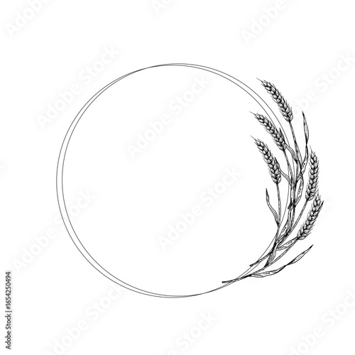 Hand drawn vector frame wheat ears in linear style. Vintage sketch perfect for organic farm or harvest-themed illustrations. Minimalist outline ideal for bakery branding, rural decor, or grain