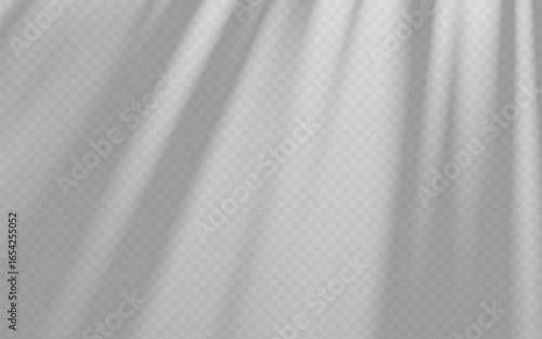 Abstract shadow overlay from tree branch on a transparent background.