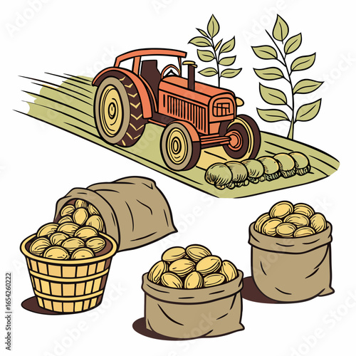 Orange tractor harvesting potatoes in a field with sacks and basket of potatoes potato harvest farm