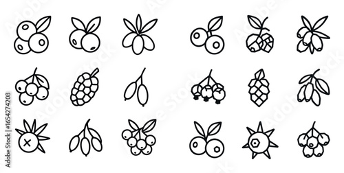 Berry Icons Grid