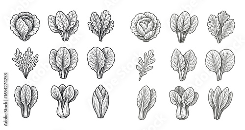 Leafy Green Icons