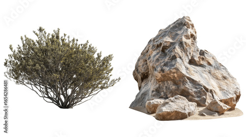 Desert Collection of Dry Plants and Rocks Isolated on Transparent Background