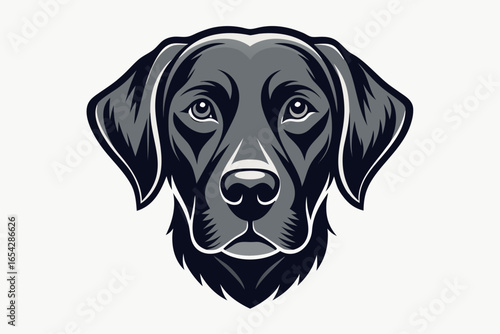 Black and white dog portrait sitting on white background