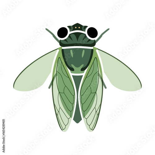 Vector illustration of a green cicada with large eyes and transparent wings, isolated on a white background, representing insects and nature.