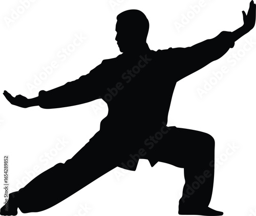 Martial arts practitioner demonstrating graceful movement in a powerful silhouette