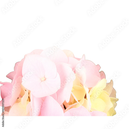 Delicate pink blossoms amidst lush greenery create a charming floral arrangement