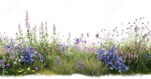 A border of purple and blue wildflowers isolated on transparent background