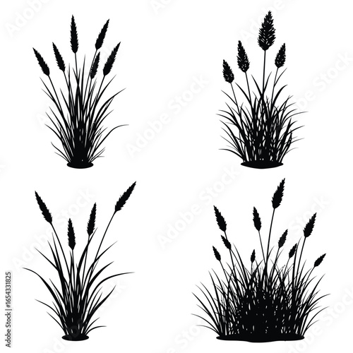Black silhouettes of cattails and grasses on a white background
