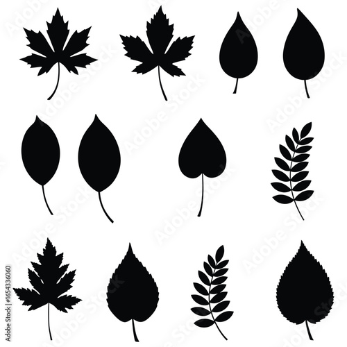 Collection of various black leaf silhouettes on white background