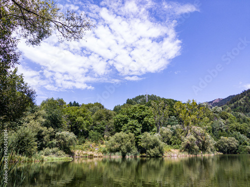 VIew to lake, trees and hills