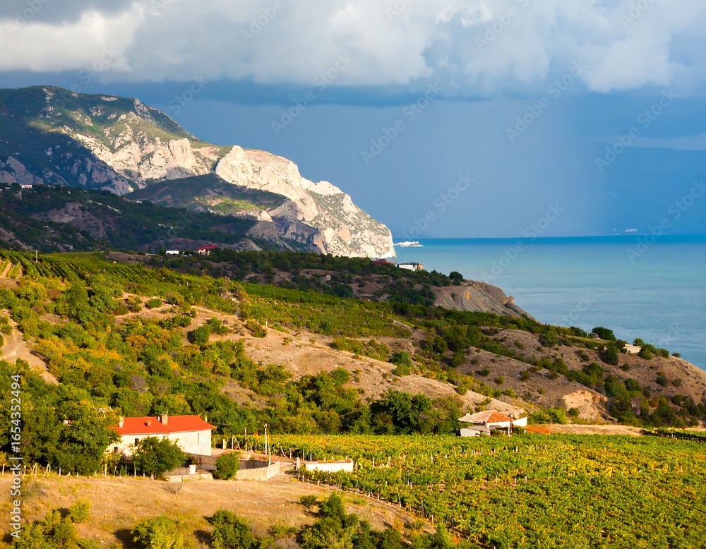 Fototapeta premium Scenic hillside vineyard overlooking the ocean