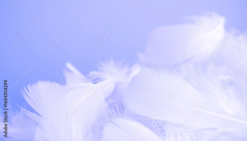 Fototapeta premium Delicate white feathers in a soft, pastel blue hue