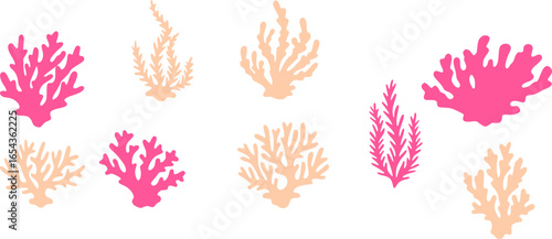 set of coral seaweed shape aesthetic element, vector,silhouette, abstract cartoon underwater plant collection
