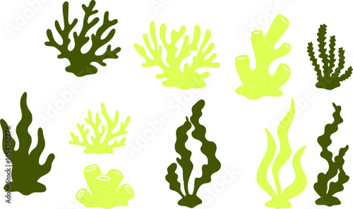 set of coral seaweed shape aesthetic element, vector,silhouette, abstract cartoon underwater plant collection
