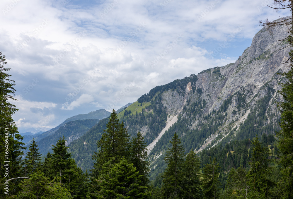 Fototapeta premium Scenic alpine mountain view with dramatic cliffs, green pine trees and cloudy sky