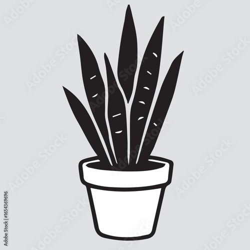 cactus in a pot
