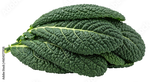 Fotografi Isolated Cavolo Nero