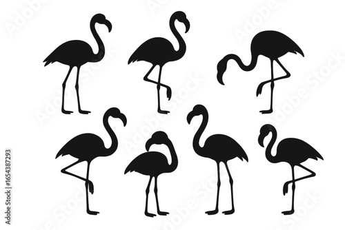 Set of flamingo silhouettes in various poses. Collection of exotic tropical birds. Minimalist vector illustration for summer design. Wildlife animal icons isolated on white.